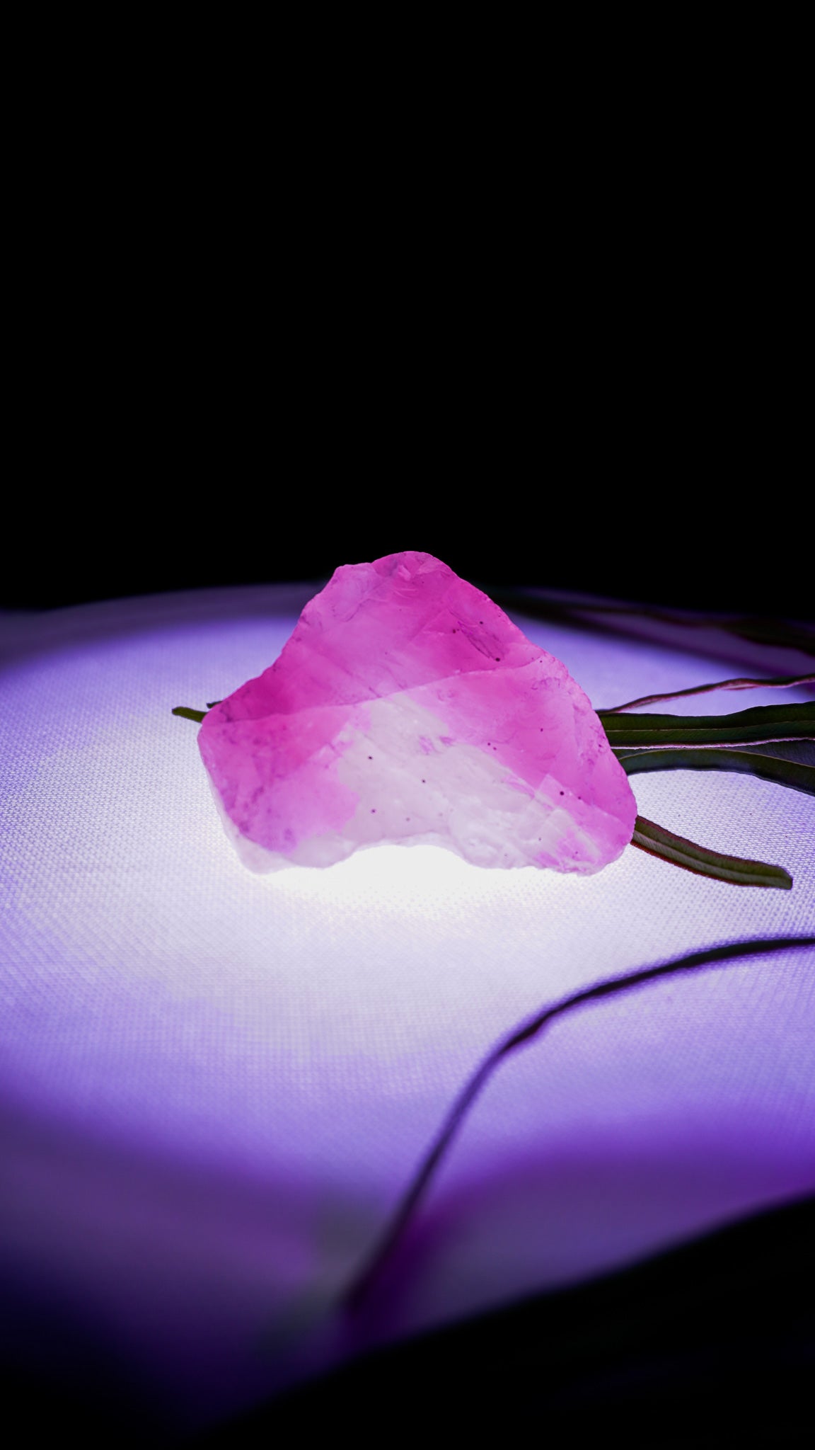 Raw Rose Quartz | Charged