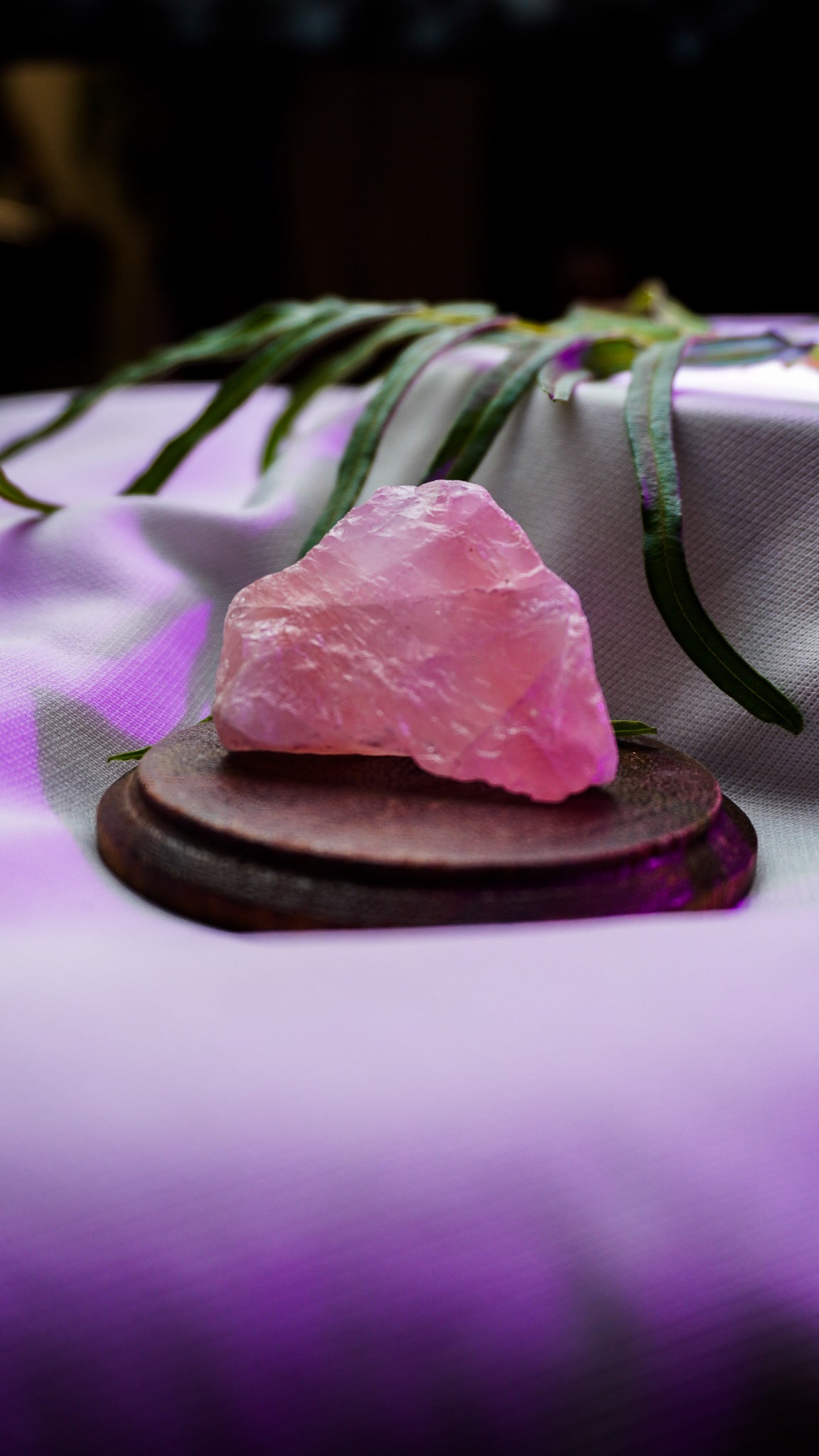 Raw Rose Quartz | Charged