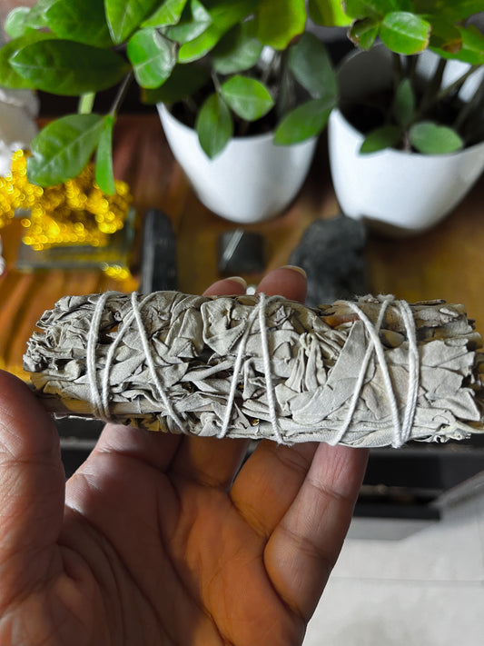 The Ancient Art of Cleansing: California White Sage in Aura and House Cleansing